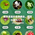 除螨仪怎么选择？强推2025 年最受欢迎的5款除螨仪品牌！_1