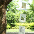艺启绘·吴山春景 | 笕桥学子以画笔为媒，绘就杭城春日华章_4