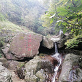 登“天目第一峰”龙王山，还欣赏了黄浦江源头_4
