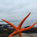一年一度的外境游…济州岛。_2