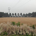 日常一探：吴山前村一面馆_4