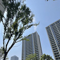 瓜山佳苑房东直租5号线旁浙大城院二室4100一室2700_0
