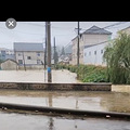 蝴蝶，请悠着点