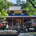 暑假带娃去哪玩？跟着社区到风景秀丽的西湖边参观岳庙学爱国精神_2