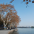 冬日西湖小景_0