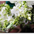 寻找2周年最闪的婚礼幕后巧手——桃“源”春“晓”の~WeDdiNg~_4