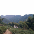 我的家---大清谷_2