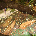 DSC07866.jpg