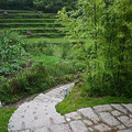P1030589.jpg