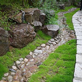 P1030585.jpg