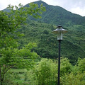 P1030586.jpg