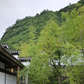 P1030582.jpg