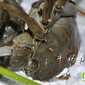 [迎中秋发蟹宴菜谱]。。。。牛妈厨房花样吃蟹_4