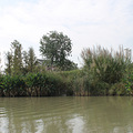 IMG_0287.JPG