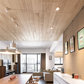 ��Ʒ��--The Wooden Apartment_1