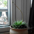 {C9C017D3-7352-4BC2-A8FE-AE30FE9E5554}.jpg