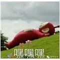 NO.156]PKߴϵǶʽ䵽ҪҪ룿_5