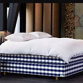 ���ڴ���HASTENS ŷ����ƾ�Ʒ_1