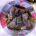 �ҵĠI�B��ͺ�����_1