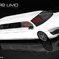 ӳγ µR8 Limo𺳵ǳ_3