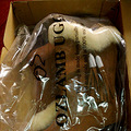 ��Ҳ��ɹɹ~������ڿ�OZ UGG~���Բ�ײЬŶ_1