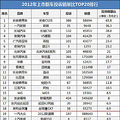 2012�������³�Ͷ��������TOP20����