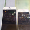 iPhone6������ˣ�����־ӱ΢��ɹ���������_0