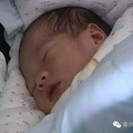 ����һ�����Ʒ�����������̥ ���໶ϲ����_1