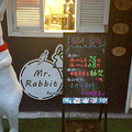 +Mr.Rabbin+óԵĲҪҪ_0