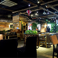 zoocoffee Сǵ_1