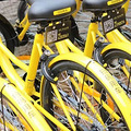 Ħ�ݡ�ofo������ͨ��������������ֻ������͵͵���������.._3