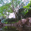 ��ƽ���÷羰��������ѧ�����ˣ������ǲ�����ĸУ��_5