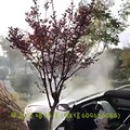 �����ϱ������ʡ�������� A5��RS7쭳� ���A5ײ���̻�_1