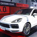 ȫ±ʱ  Cayenne Coup  Ƿ ͡_3
