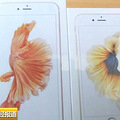 iPhone 6s ����������ϣ�ƻ�������ˣ����в���������_1