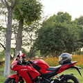 �����ڴ�ó����CBR300R_1