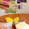 5ʳֲݡ˸óԱgelato_0