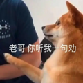 微信图片_20241009110926.png