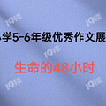 Сѧ5-6꼶չʾ48Сʱ