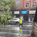 ���˽������Ҳ̫���˰ɣ��������ҵ����ˣ�_3