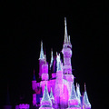 ʥ£ʥڰdisney_4