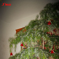 X\'mas tree--_3