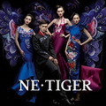NE��TIGER 2010�߼����ƻ�����Ƭ_4