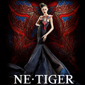 NE��TIGER 2010�߼����ƻ�����Ƭ_5