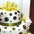 {Tasty cake} --񣩵_2