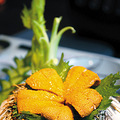 黄海胆.jpg
