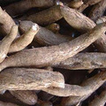 Cassava木薯.jpg