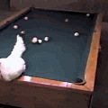 61b69811jw1dh4p2p915bg.gif