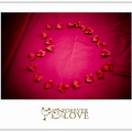2010.10.3Ӻ;зForever Love_5