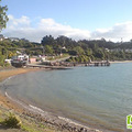 Ħ����(Moeraki)�ĺ��ʴ��_0